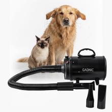 Secador De Pelo Profesional Para Mascotas Gadnic 70 m/s Velocidad Maxima Difusores Intercambiables 2200W