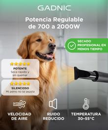 Secador De Pelo Profesional Para Mascotas Gadnic 70 m/s Velocidad Maxima Difusores Intercambiables 2000W