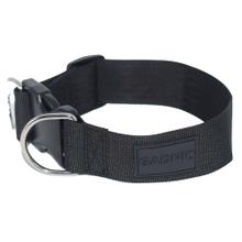 Collar para Perro Gadnic Regulable