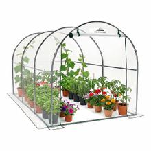 Invernadero South Port By Gadnic Outdoor Para Cultivo Estructura Acero Cubierta PVC 