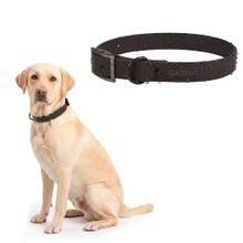 Collar Para Perro Flexible Gadnic Regulable De PVC Impermeable Talles S Y M Ancho 2 Cm