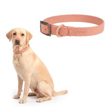 Collar Para Perro Flexible Gadnic Regulable De PVC Impermeable Talles S Y M Ancho 2 Cm