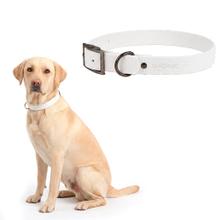 Collar Para Perro Flexible Gadnic Regulable De PVC Impermeable Talles S Y M Ancho 2 Cm