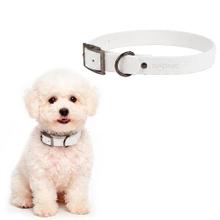 Collar Para Perro Flexible Gadnic Regulable De PVC Impermeable Talles S Y M Ancho 2 Cm
