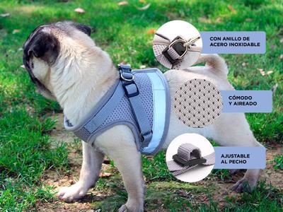 Arnés Pretal Perro Gato con Correa Bidcom