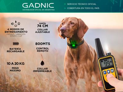 cuál es el mejor collar electrónico para perros