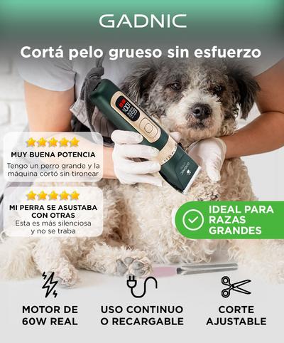 Para Perros Pequeños Primer Corte De Pelo A Caniche Cortadora De
