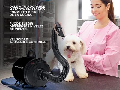 Secador De Pelo Para Perros PD2000 Maquina De Cortar Pelo Canina