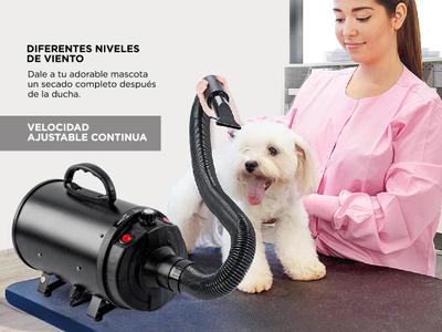 Secador de Pelo Profesional Para Perros Gadnic PD2000 2200W Bidcom