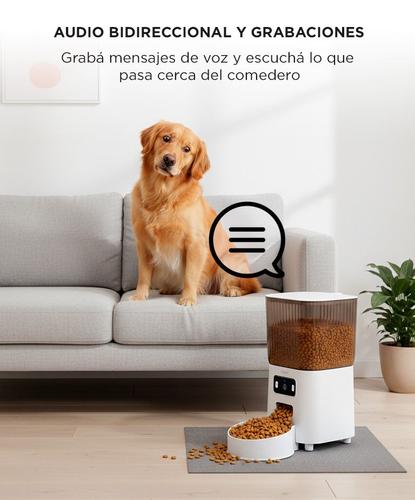 Comedero Automatico Gadnic Para Mascotas 5 litros Con Camara y Aplicación Bowl Acero Inoxidable  - 3