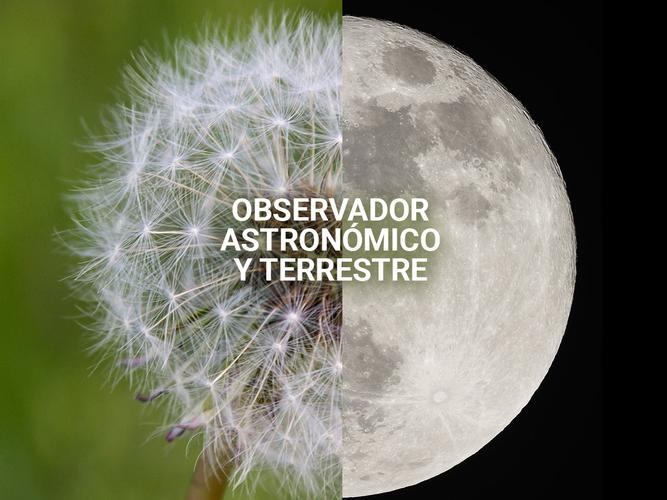 Telescopio Reflector Gadnic 400x40 - 5
