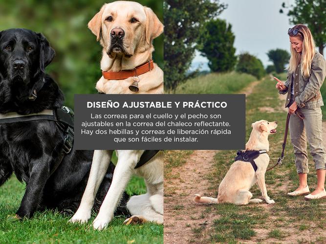 Pretal Arnes Para Perro S al XXL - 3