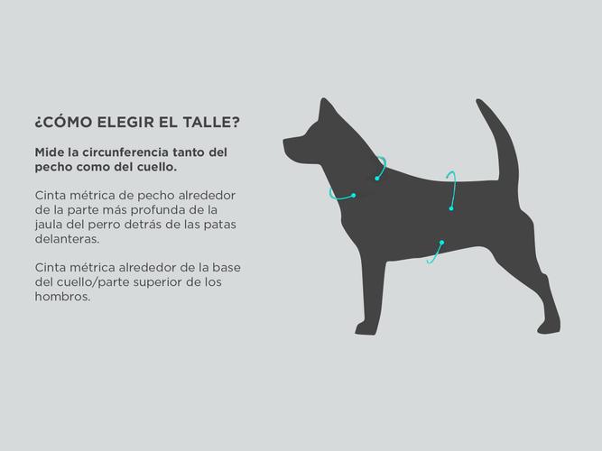 Pretal Arnes Para Perro S al XXL - 4