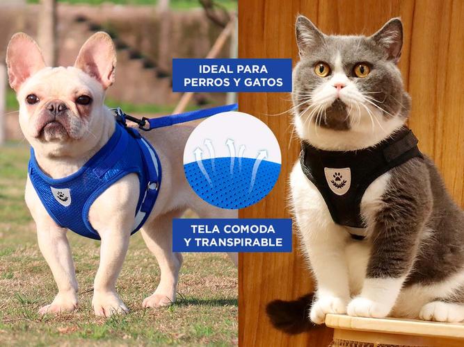 Arnés Pretal Perro Gato con Correa  - 3