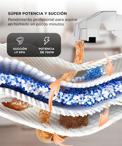 Aspiradora Limpia Tapizados Gadnic Manguera Y Picos Intercambiables Portátil 700 W  - 2