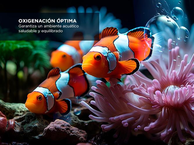 Aireador Pecera Gadnic 2 Salidas  2m Manguera Y 2 Piedras - 2