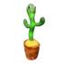 img_CACTUS01_0