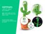 img_CACTUS01_3