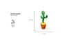 img_CACTUS01_4
