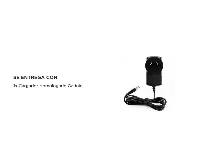 Cargador Homologado Gadnic 10V  - 2