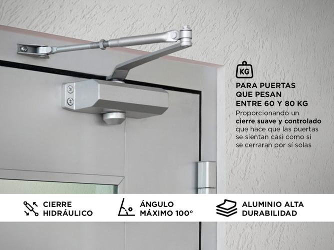 Cierre hidráulico puerta Gadnic 60–80 kg - 2