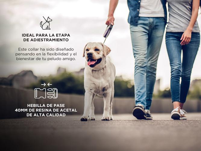 Collar Perro Regulable Gadnic Mascota Entrenamiento 40mm - 2