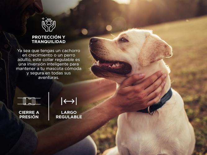 Collar Perro Regulable Gadnic Mascota Entrenamiento 40mm - 4