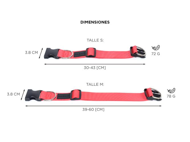 Collar Perro Regulable Gadnic Mascota Entrenamiento 40mm - 5