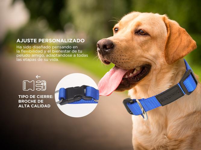 Collar Rápido Para Perro Gadnic Regulable Paseo - 2
