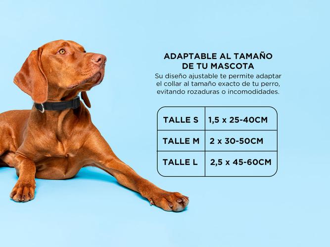 Collar Rápido Para Perro Gadnic Regulable Paseo - 3