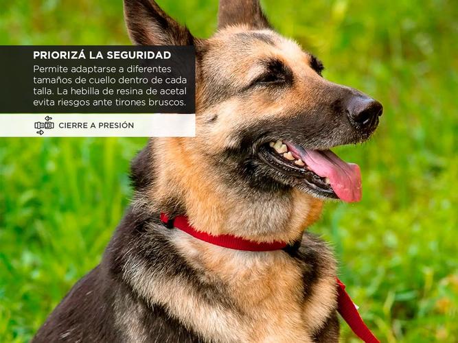 Collar para Perro Gadnic Regulable - 2