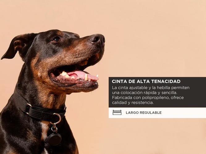 Collar para Perro Gadnic Regulable - 3