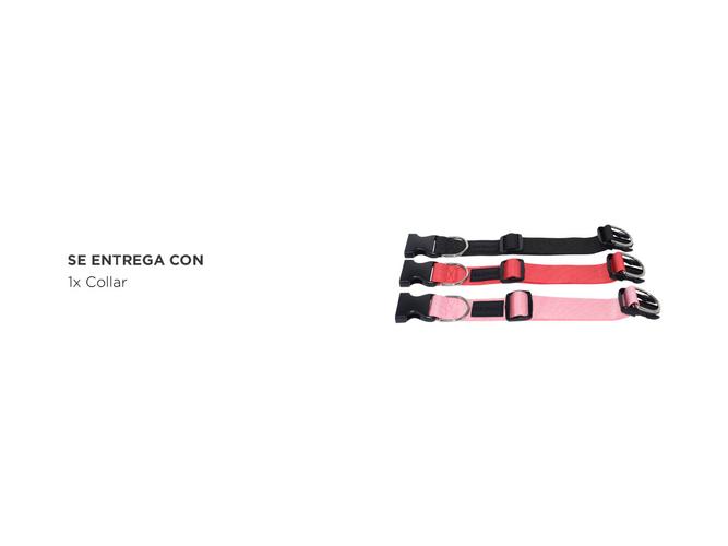 Collar para Perro Gadnic Regulable - 6