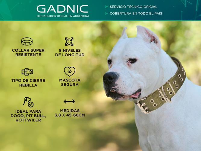 Collar Super Resistente Gadnic Para Perro  - 1