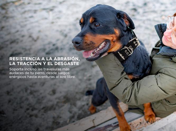 Collar Super Resistente Gadnic Para Perro  - 2