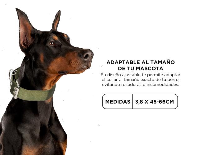 Collar Super Resistente Gadnic Para Perro  - 3