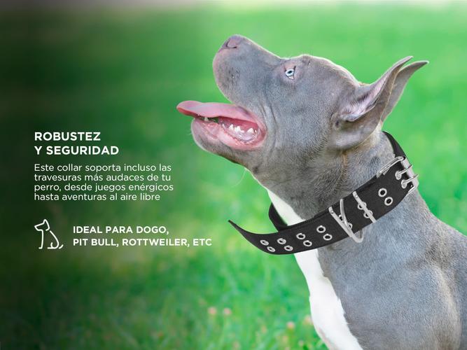 Collar Super Resistente Gadnic Para Perro  - 4