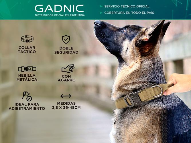 Collar De Perro Táctico Ajustable Gadnic PETC15 Hebilla Metálica - 1