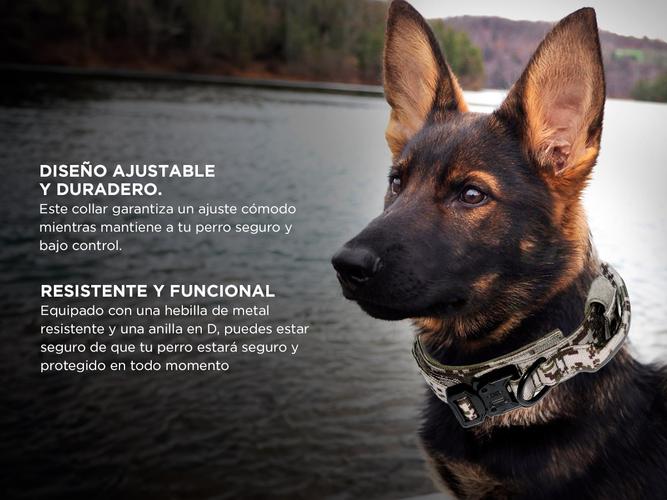 Collar De Perro Táctico Ajustable Gadnic PETC15 Hebilla Metálica - 2
