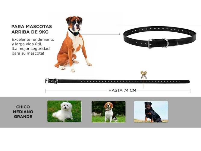 Collar Adiestramiento De Perro Recargable 800 mts - 2