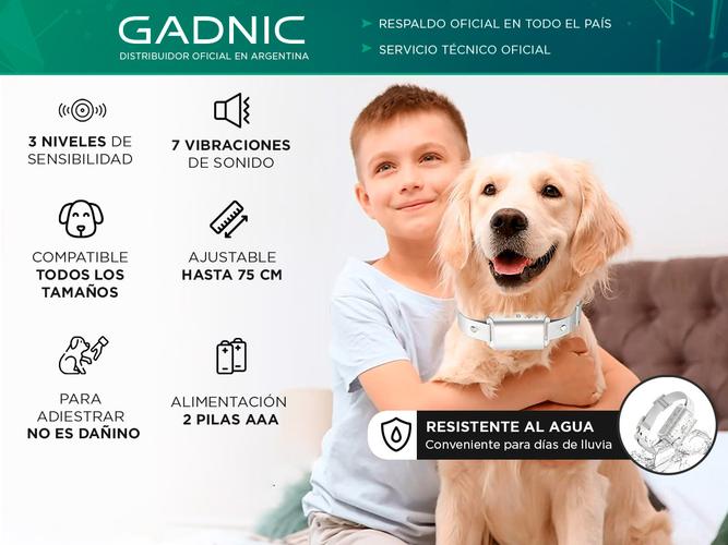 Collar Adiestramiento De Perro Gadnic 3 Modos  - 1