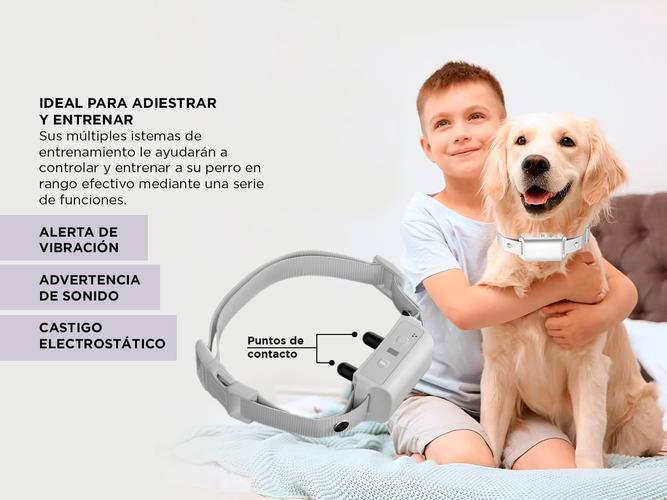 Collar Adiestramiento De Perro Gadnic 3 Modos  - 3