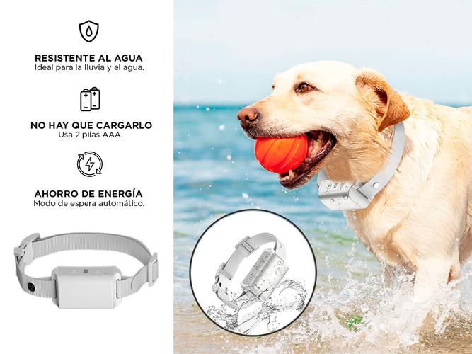Collar Adiestramiento De Perro Gadnic 3 Modos  - 4