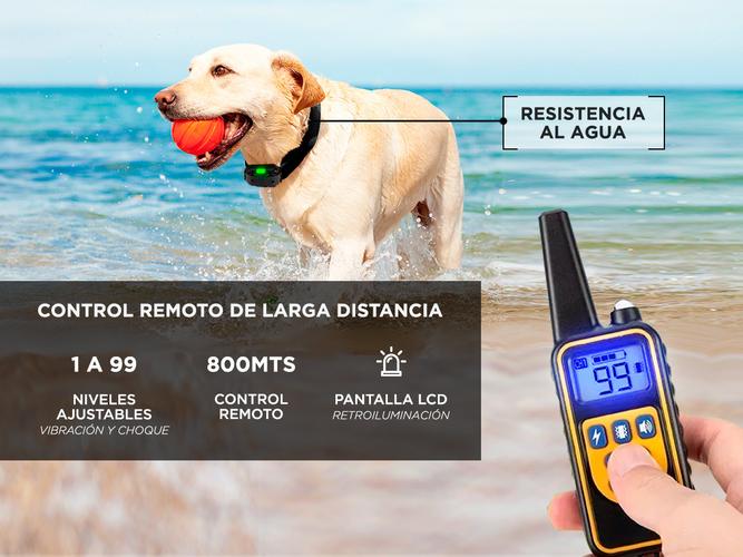 2 Collares de Entrenamiento Canino Gadnic C7TR Eléctrico para Perro - 2