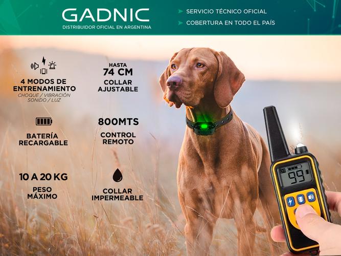 x3 Collar de Entrenamiento de Perros Gadnic C8TR Eléctrico Medidor Remoto - 1