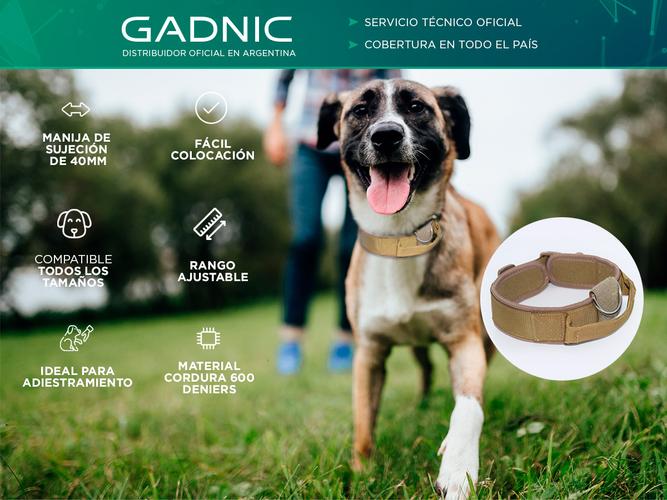 Collar De entrenamiento Gadnic Para Adiestramiento Canino Outlet - 1