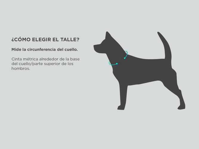 Collar De entrenamiento Gadnic Para Adiestramiento Canino Outlet - 4