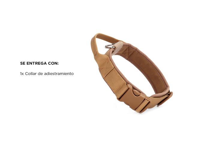 Collar De entrenamiento Gadnic Para Adiestramiento Canino - 6