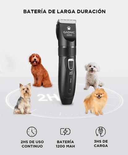 Máquina De Cortar Pelo Para Perros Gadnic S300 Regulable - 3
