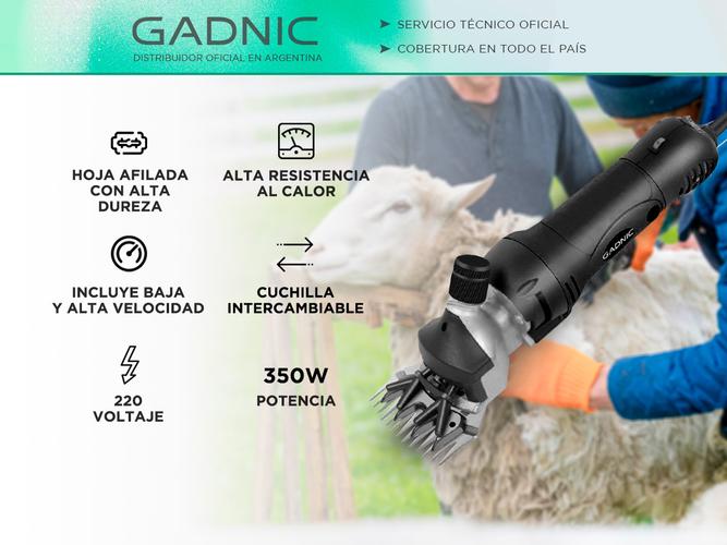 Esquiladora Gadnic S900 Dual Para Animales 500W  Cuchilla Adicional Outlet - 1